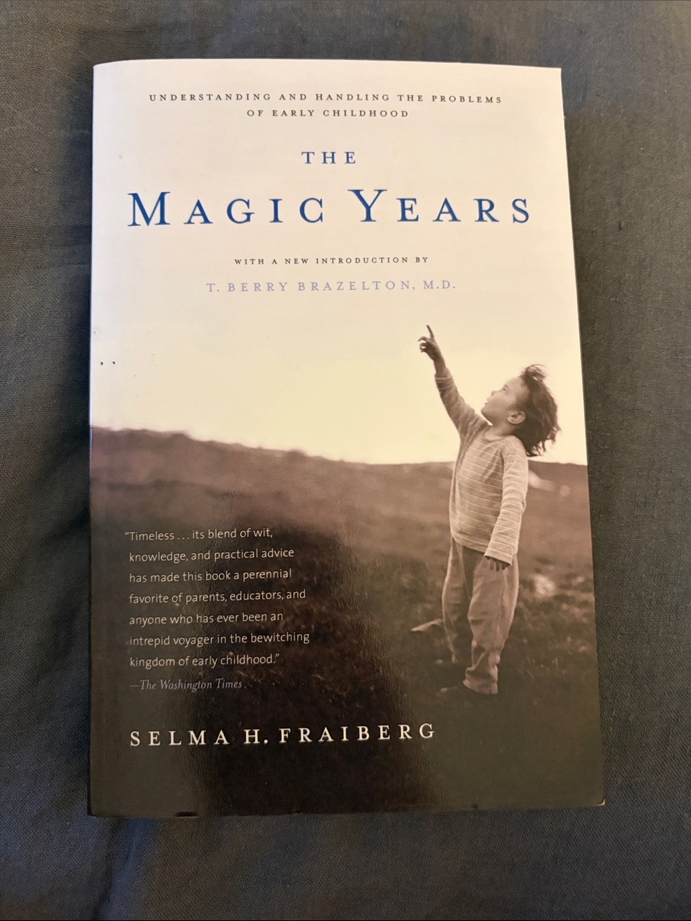 The Magic Years by Selma H. Fraiberg - Beige & Blue Cover
